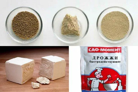 Какие дрожжи выбрать для браги и самогона