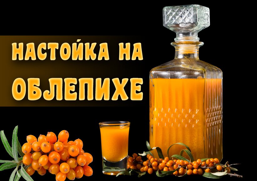 Облепиховая настойка на самогоне: яркий ягодный рецепт
