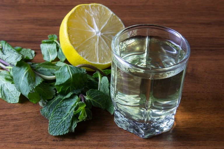 Настойка на мяте: три проверенных рецепта из свежих и сушёных листьев